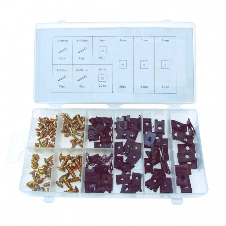 Set of 170 pcs screws and staples/U-Clip cage nuts for bodywork - 833087 - Beast