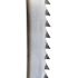 Resharpenable PAE wood band saw blade 1060 x 10 x 0.6 x 6 mm - C75 steel - Diamwood